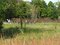 Maplewood State Park