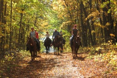 Horseback riding on park trail